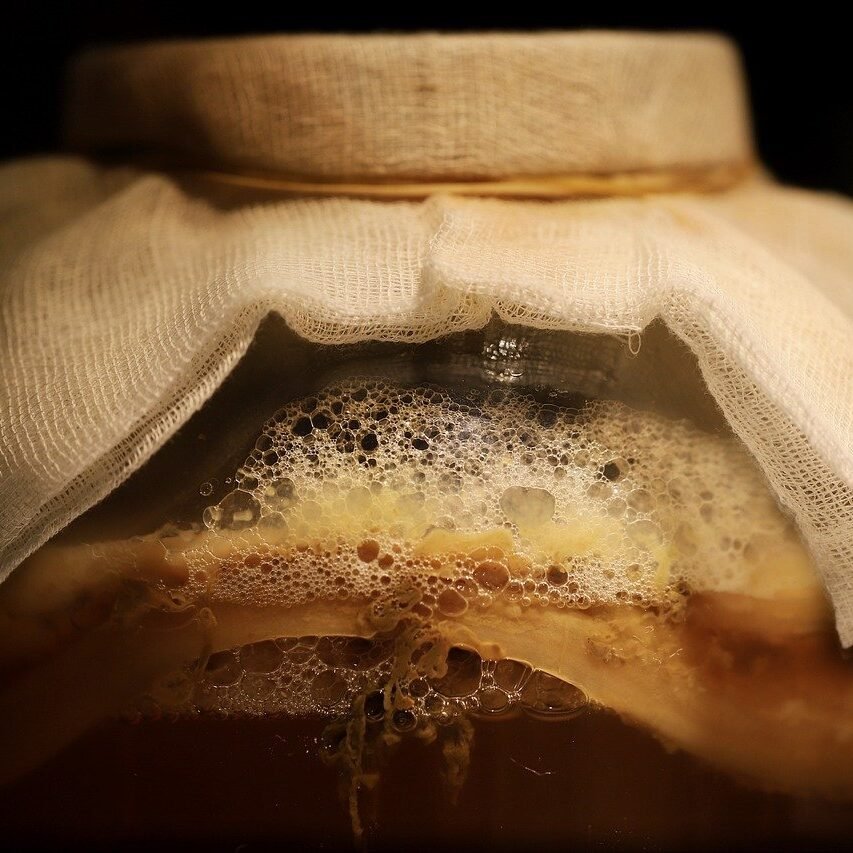 kombucha, fermented drink, fermentation